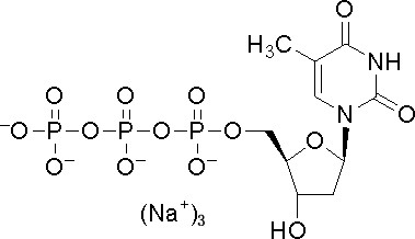 100mM roztwór DTTP Deoksynukleotydy 2'-Deoksytymidyno-5'-Trifosforan CAS 18423-43-3