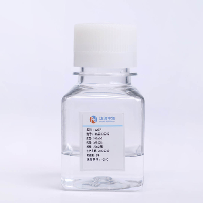 ISO9001 2'-Deoksyadenozyno-trójfosforan w PCR Płynny 5'-DATP CAS 1927-31-7 100mM roztwór