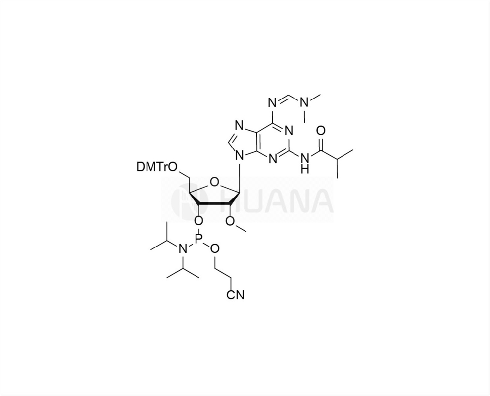 DMTr-2'-O-Me-N2-iBu-N6-dmf- 2-amido-rA-3'-CE-fosforamidyt